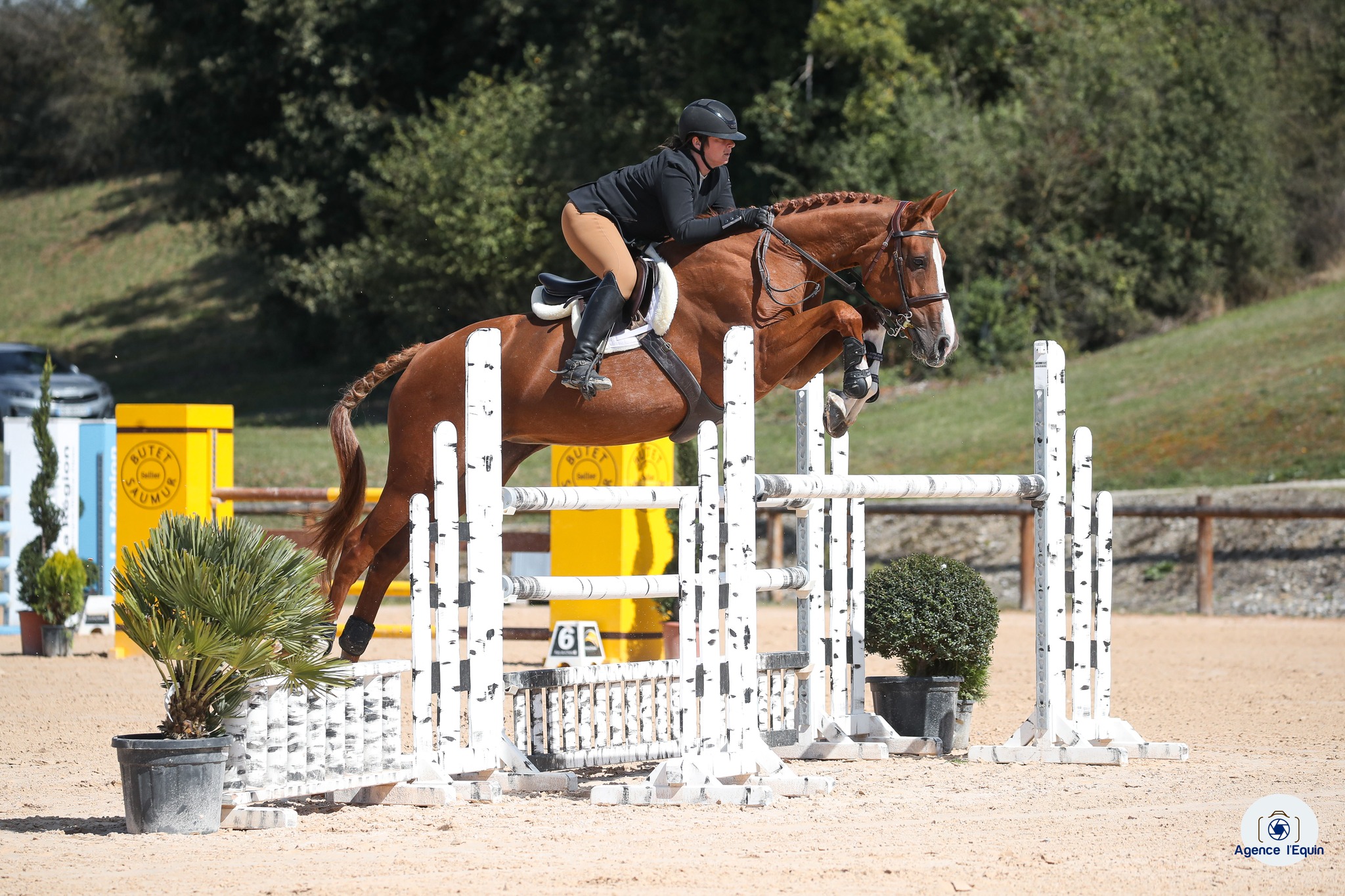 Hunter équitation Bourgogne
