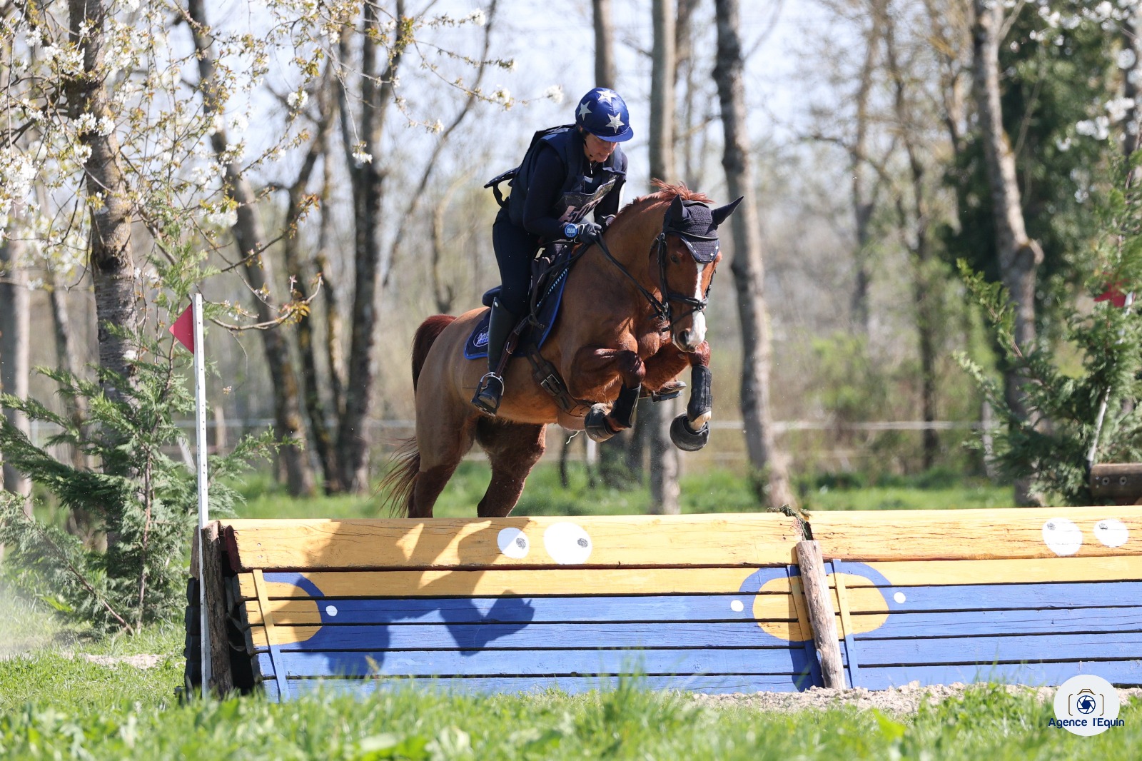 Concours cross